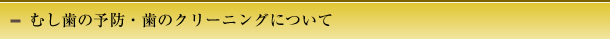 むし歯の予防・歯のクリーニングについて